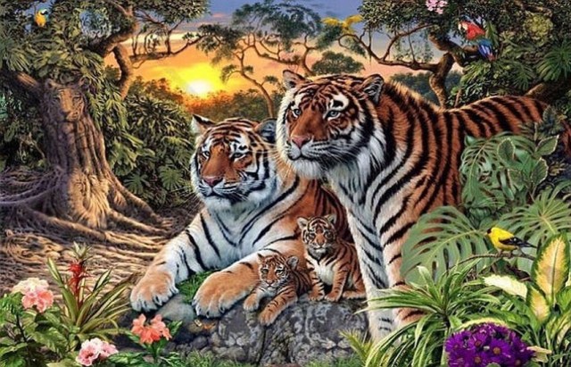 Можете ли да пронајдете 16 тигри на оваа фотографија?