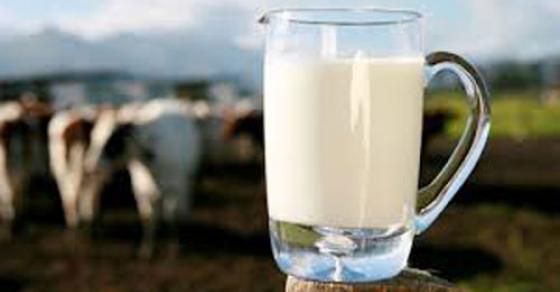 Барање за субвенции поднеле 85 отсто од кумановските млекопроизводители
